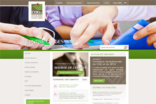 Site responsive pour la collectivit CDG 53